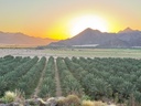 Nieuwe aankomst Namibië
