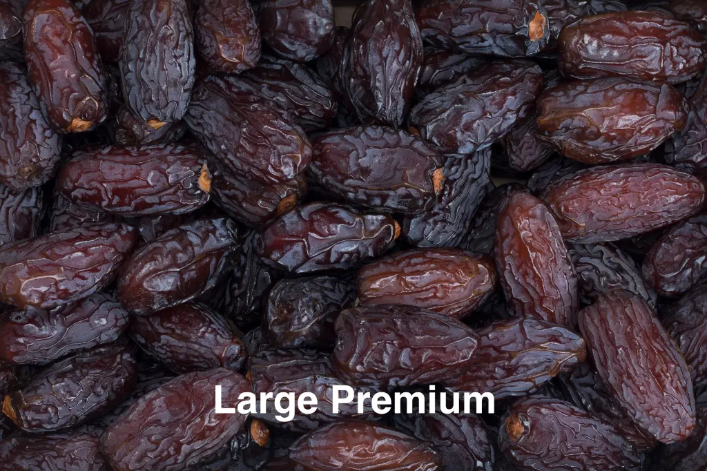 Large Premium.webp