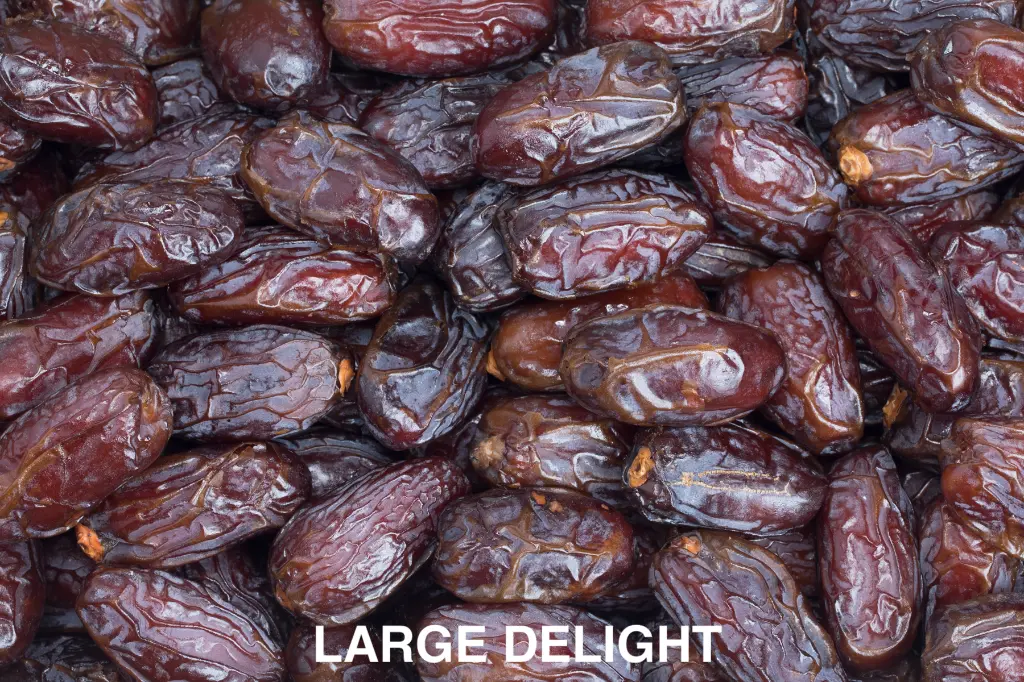 LARGE DELIGHT.webp