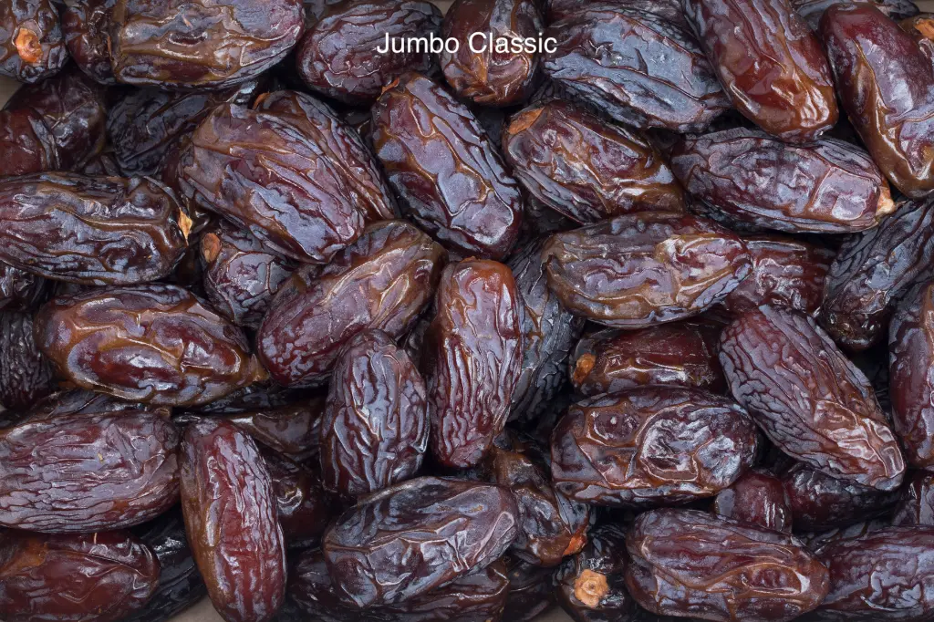 JUMBO CLASSIC.webp